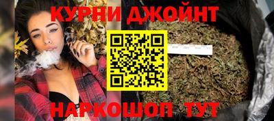 сатива Будённовск
